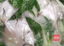 青菜鱼汤的做法图解8
