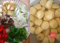 鸡肉烧土豆的做法图解4