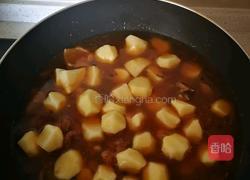 鸡肉烧土豆的做法图解9