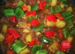 鸡肉烧土豆的做法图解10