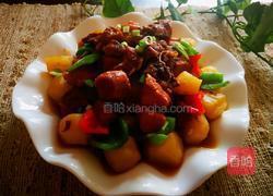 鸡肉烧土豆的做法图解11