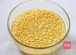 蔓越莓绿豆糕的做法图解2