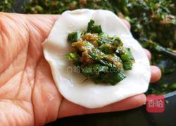 韭菜豬肉餡餃子的做法圖解11