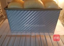 全麦北海道吐司的做法图解13