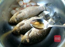 红烧鲫鱼的做法图解2