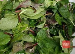 野味油炸薄荷的做法图解3