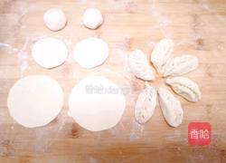 菠萝春笋鲜肉饺的做法图解9