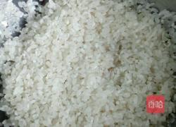 黄鳝粥的做法图解5