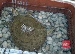 红烧甲鱼的做法图解1