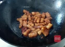 红烧甲鱼的做法图解8