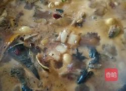 红烧甲鱼的做法图解14