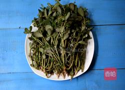 蒜蓉马齿苋的做法图解2