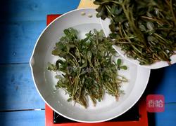 蒜蓉马齿苋的做法图解3