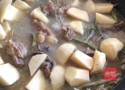 后山炖羊肉的做法图解4