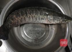 麻辣水煮鱼片的做法图解1