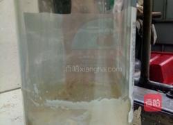 天然酵种二段的做法图解5