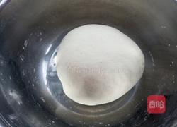 山东肉块大包子 的做法图解4