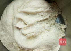 山东肉块大包子 的做法图解5