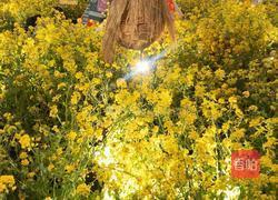 酵素的做法图解3