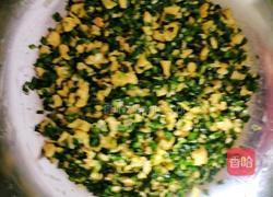 韭菜鸡蛋馅的做法图解12