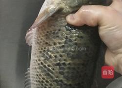 老坛酸菜鱼 的做法图解1