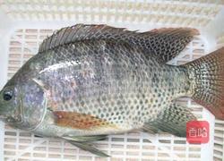 清蒸罗非鱼的做法图解2