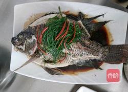清蒸罗非鱼的做法图解3
