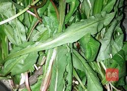 凉拌蒲公英（婆婆丁）的做法图解2