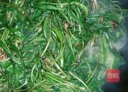 凉拌蒲公英（婆婆丁）的做法图解3