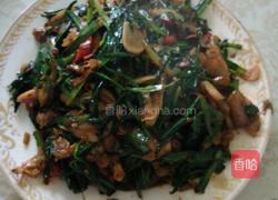 六耳韭炒蚬子肉的做法图解7