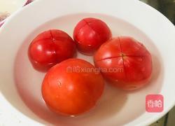 西红柿炖牛腩的做法图解2