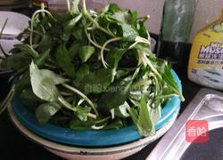 炒马兰头的做法图解1