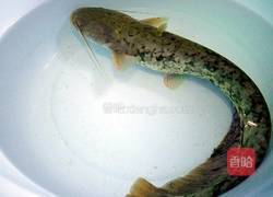 鲶鱼烧豆腐的做法图解2