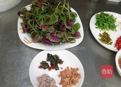 上汤苋菜的做法图解2