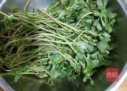 马齿苋大饼馍(烙馍版)的做法图解1