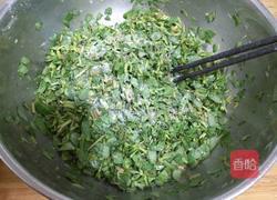 马齿苋大饼馍（烙馍版）的做法图解2