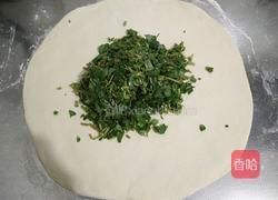马齿苋大饼馍(烙馍版)的做法图解4