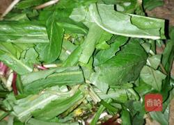 蒲公英鸡蛋的做法图解2