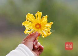 菠萝花菠萝果干的做法图解6