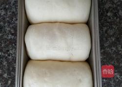 葡萄干面包(手揉版)的做法图解24