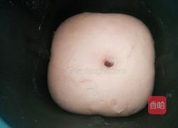 樱花豆沙包的做法图解5