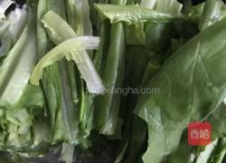 油淋油麦菜的做法图解1