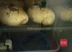 自制全麦面包的做法图解12