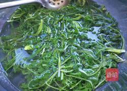 荠菜猪肉馄饨的做法图解5