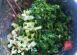荠菜猪肉馄饨的做法图解6