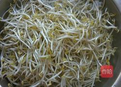 豆芽肉丝焖饼的做法图解1