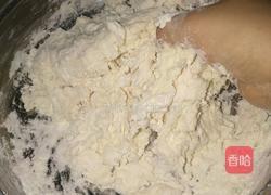 玉米胡萝卜猪肉饺子的做法图解3