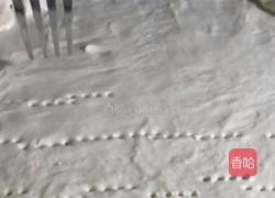 菠萝披萨的做法图解9