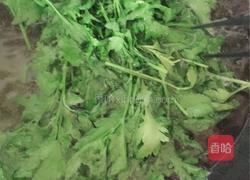 凉拌菊花嫩芽的做法图解3