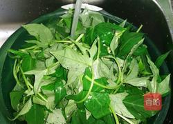 蒜蓉番薯叶的做法图解1